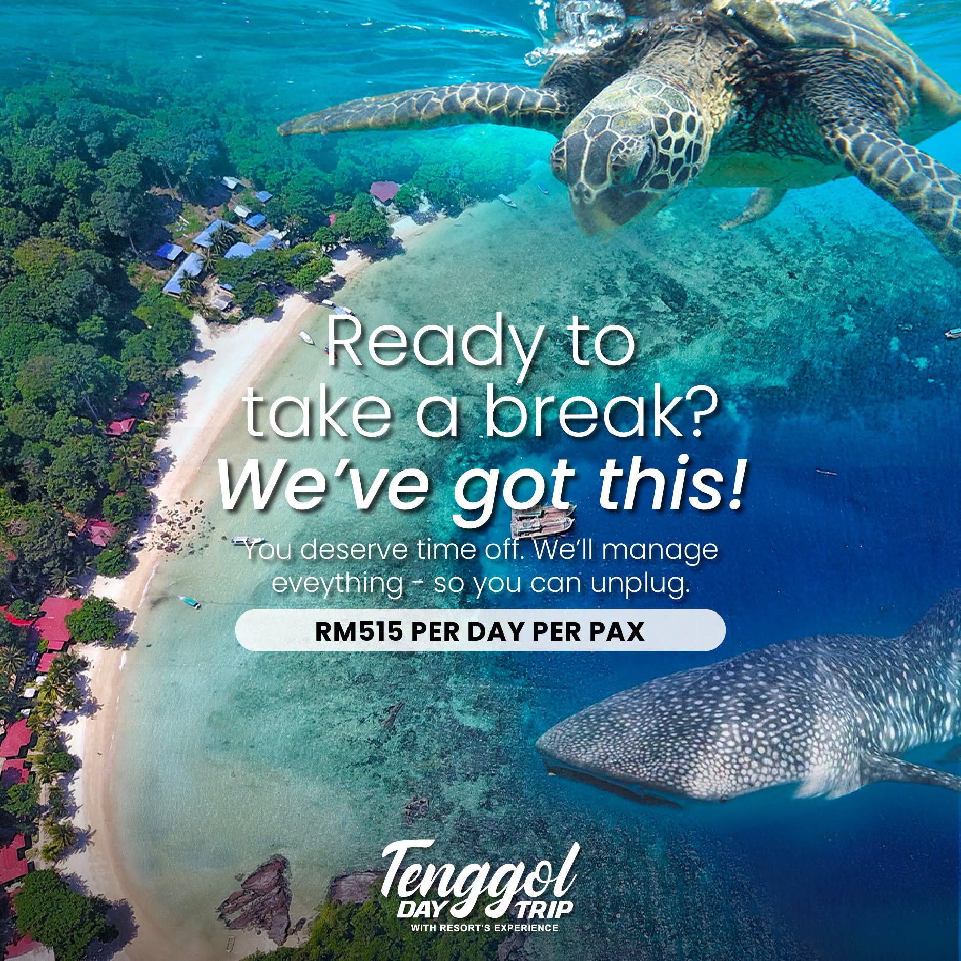 Tenggol Day Trip promotional graphic showing aerial island view, sea turtle and whale shark with RM515 per day pricing