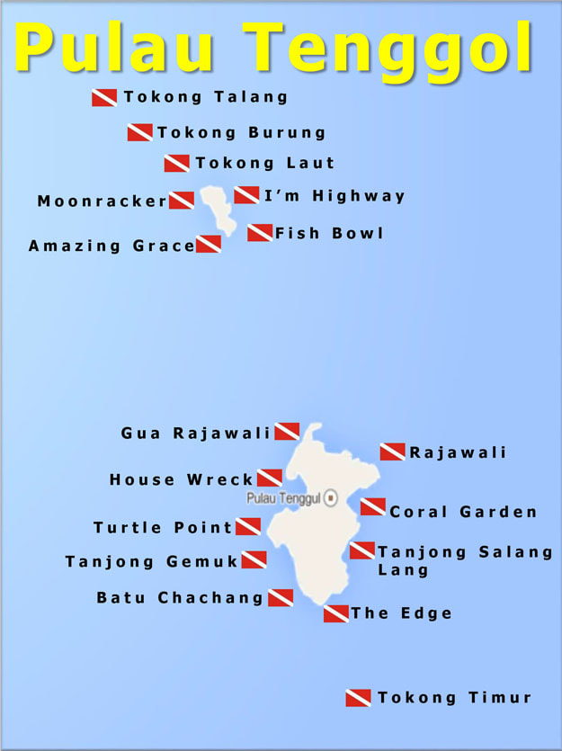 Illustrated map of Pulau Tenggol showing the location of every named dive site, including Tokong Laut, Turtle Point, House Wreck, Coral Garden, The Edge and Tokong Timur, each marked with a red-and-white dive flag